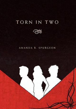 Книга Torn in Two Amanda R Spurgeon