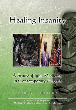 Książka Healing Insanity Patrick E Iroegbu