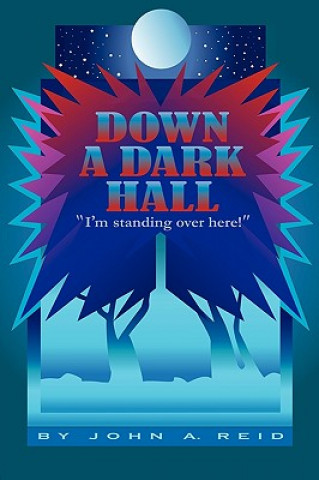 Kniha Down a Dark Hall John a Reid