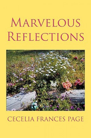 Knjiga Marvelous Reflections Cecelia Page