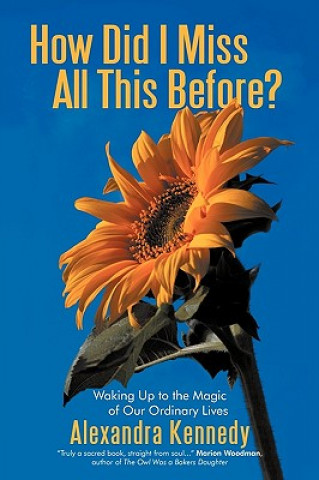 Книга How Did I Miss All This Before? Alexandra Kennedy