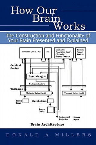 Könyv How Our Brain Works Donald Millers