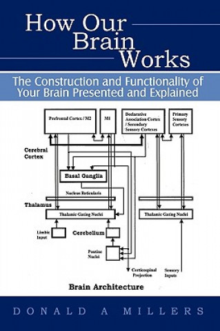 Książka How Our Brain Works Donald Millers