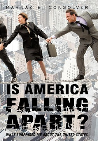 Book Is America Falling Apart? B Consolver Mahnaz B Consolver