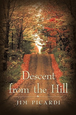 Buch Descent from the Hill Jim Picardi