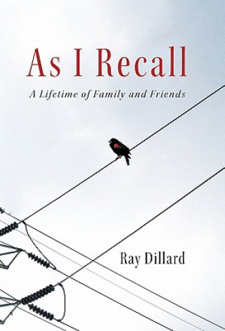 Buch As I Recall Ray Dillard