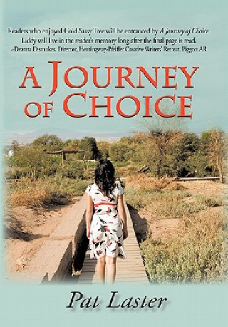 Книга Journey of Choice Pat Laster