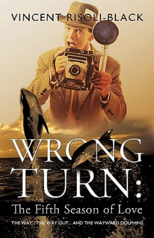 Kniha Wrong Turn Vincent Risoli-Black