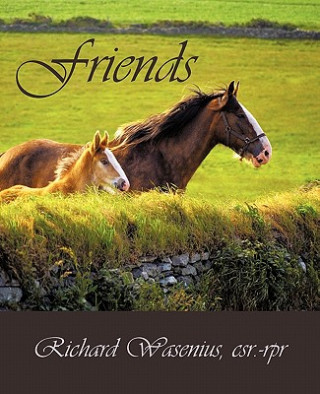 Książka Friends Richard Wasenius Csr Rpr