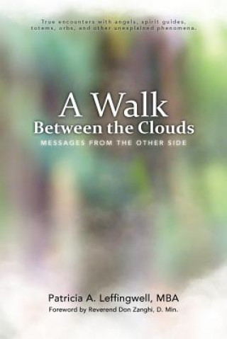 Kniha Walk Between the Clouds Patricia A Leffingwell