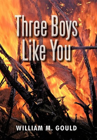 Carte Three Boys Like You William M Gould