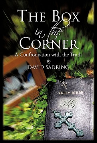 Buch Box in the Corner David Sadring