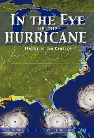 Книга In the Eye of the Hurricane James H Wilkinson