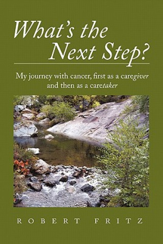 Kniha What's the Next Step? Robert Fritz