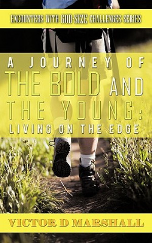 Kniha Journey of the Bold and the Young Victor D Marshall