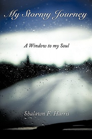 Könyv My Stormy Journey Shalawn F Harris