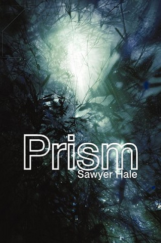 Knjiga Prism Sawyer Hale