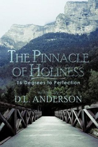 Carte Pinnacle of Holiness D L Anderson