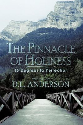 Buch Pinnacle of Holiness D L Anderson