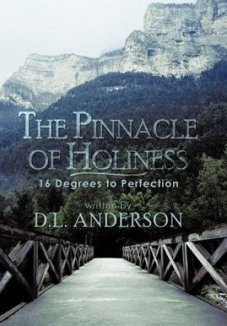 Carte Pinnacle of Holiness D L Anderson