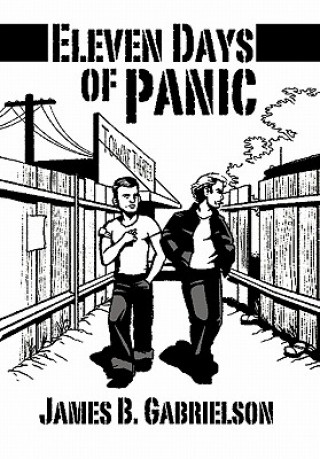 Könyv Eleven Days of Panic James B Gabrielson