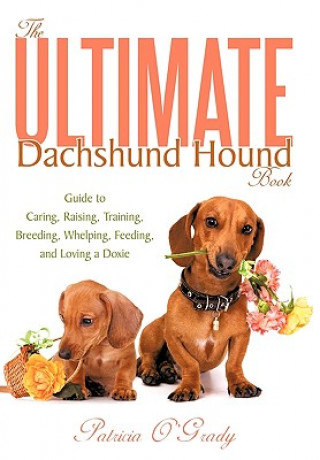 Książka Ultimate Dachshund Hound Book Patricia O'Grady