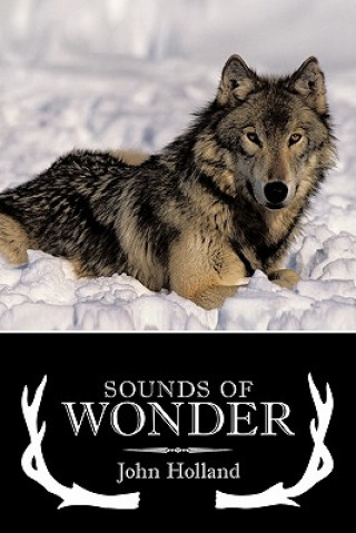 Kniha Sounds of Wonder John Holland