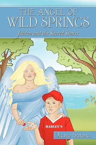 Könyv Angel of Wild Springs Diane Satera