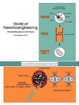 Knjiga World of Nanobioengineering Amin Elsersawi Ph D