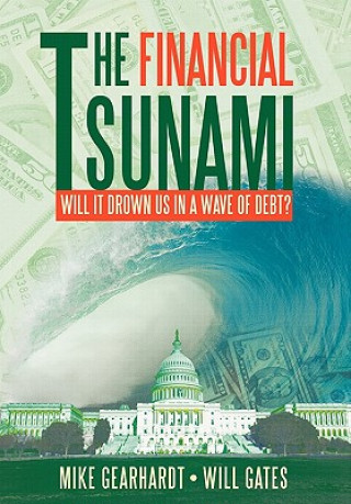 Книга Financial Tsunami Will Gates