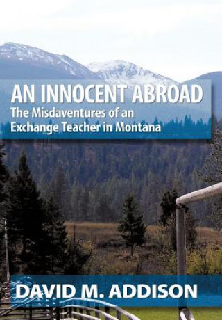 Buch Innocent Abroad David M Addison