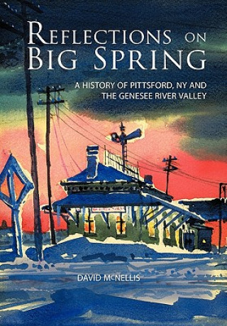Kniha Reflections on Big Spring David McNellis