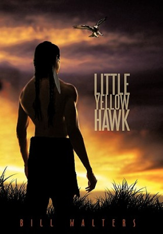 Kniha Little Yellow Hawk Bill Walters