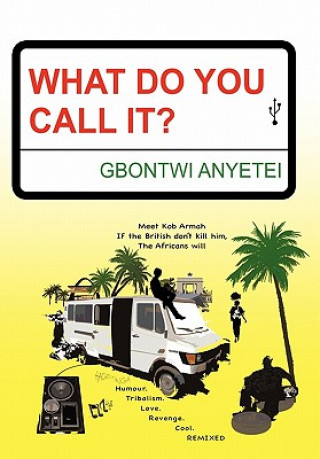 Книга What Do You Call It? Gbontwi Anyetei