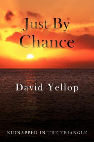 Книга Just by Chance David Yellop