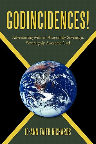 Buch Godincidences! Jo-Ann Faith Richards