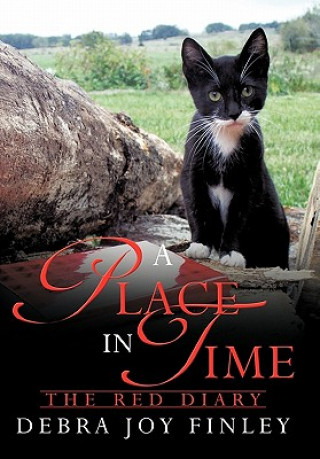 Buch Place in Time Debra Joy Finley