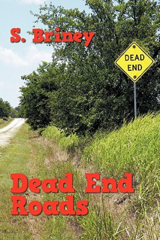Kniha Dead End Roads S Briney