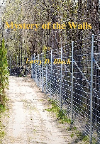 Kniha Mystery of the Walls Professor Larry Black