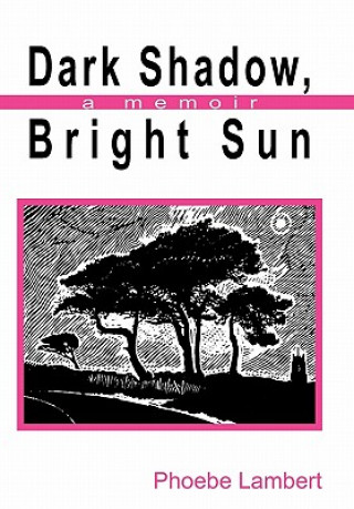 Kniha Dark Shadow, Bright Sun Phoebe Lambert