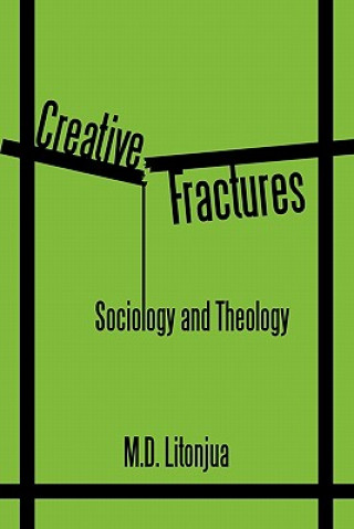 Buch Creative Fractures M D Litonjua