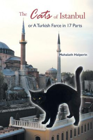 Könyv Cats of Istanbul Mahalath Halperin