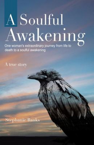 Книга Soulful Awakening Stephanie Banks