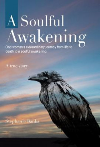 Könyv Soulful Awakening Stephanie Banks