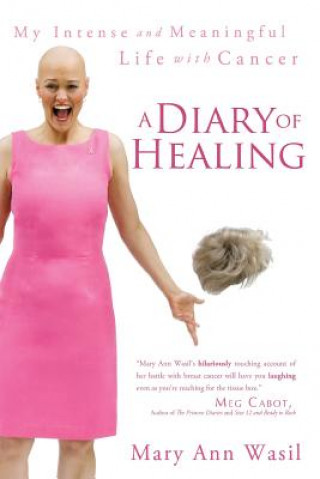 Kniha Diary of Healing Mary Ann Wasil