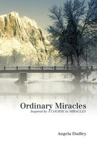 Könyv Ordinary Miracles Angela Dudley