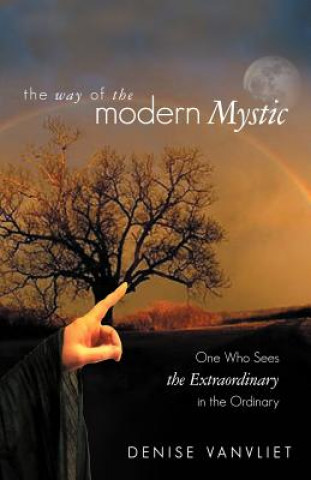 Könyv Way of the Modern Mystic Denise Vanvliet