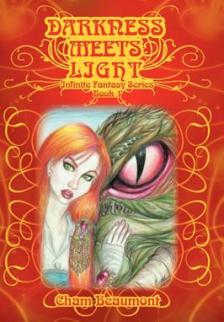 Boek Darkness Meets Light Cham Beaumont