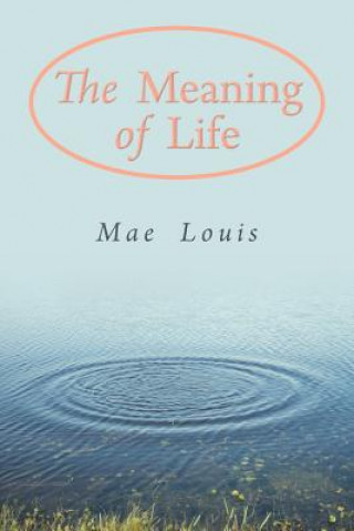 Buch Meaning of Life Mae Louis