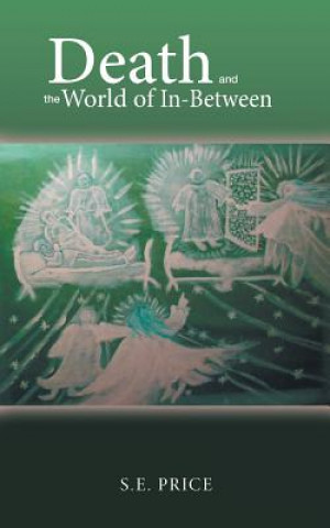 Buch Death and the World of In-Between S E Price